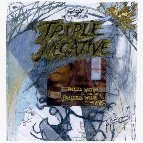 Triple Negative Precious Waste In Our Wake  (excerpts)