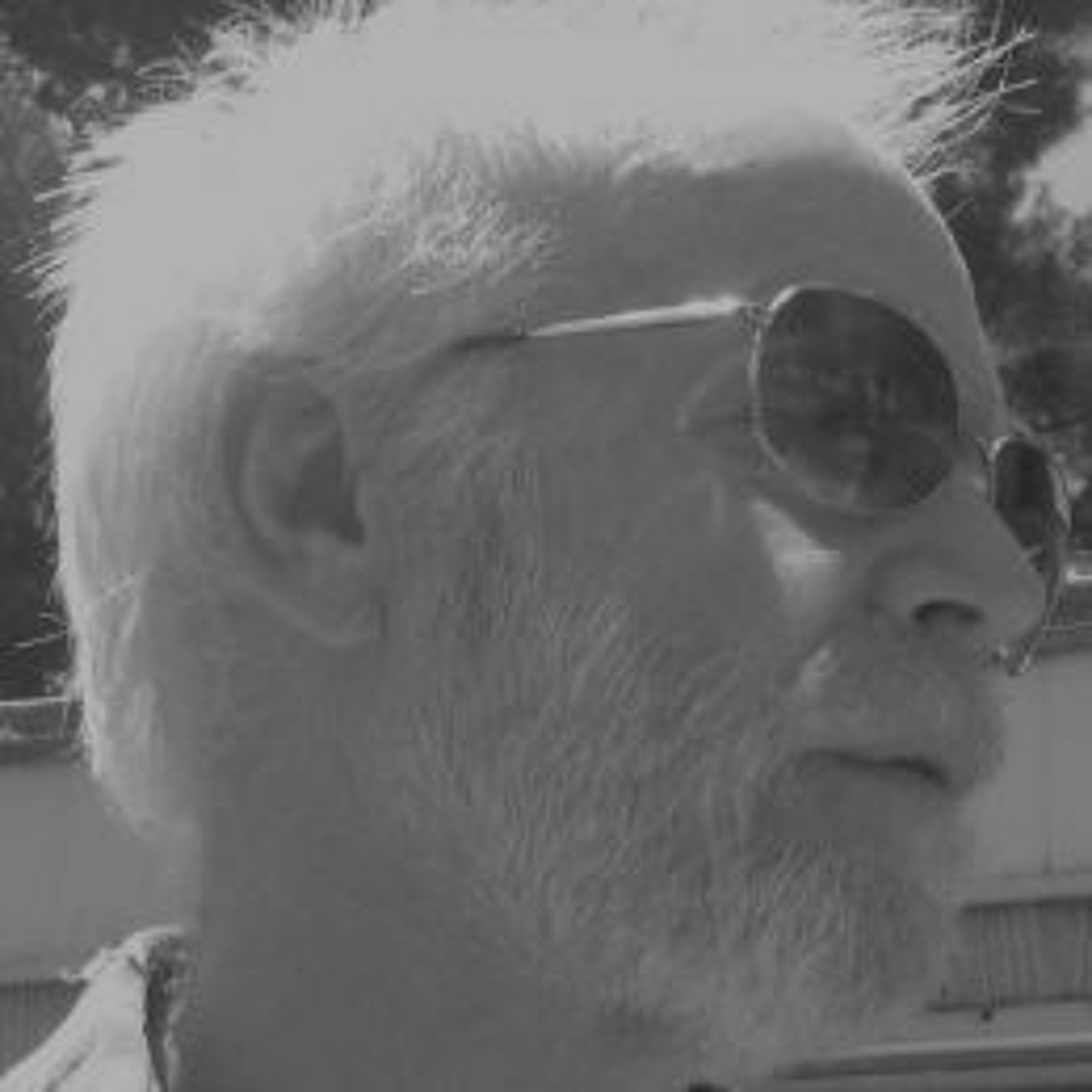 Neopoet