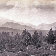 Art&Fact -Checkça- [Free]