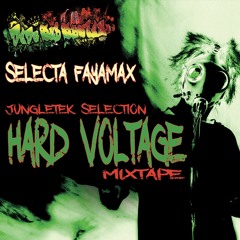 Selecta FAYAMAX - Hard Voltage Mixtape 2019 (DEDA Sub System) Raggatek/Jungletek DJ Set