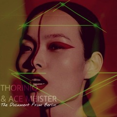 The Document From Berlin (Original)