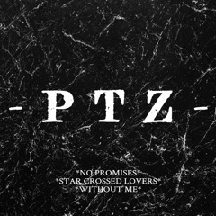 PTZ - NO PROMISES
