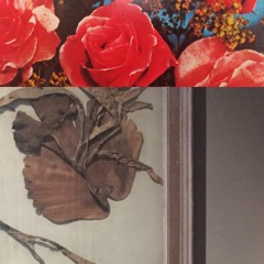 jaleh negari w·b·i·c· excerpts Live from Brønshøj Vandtårn february 2019