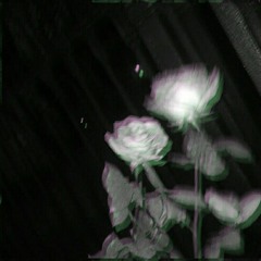 White Rose (Ft. MXN)