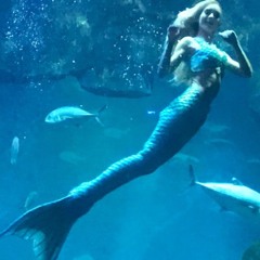 La plus belle Po(l)issonne du monde