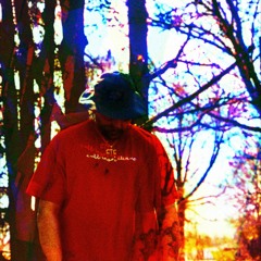 CHIP THA RIP