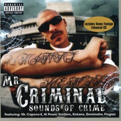 Mr. Criminal- Special Lady