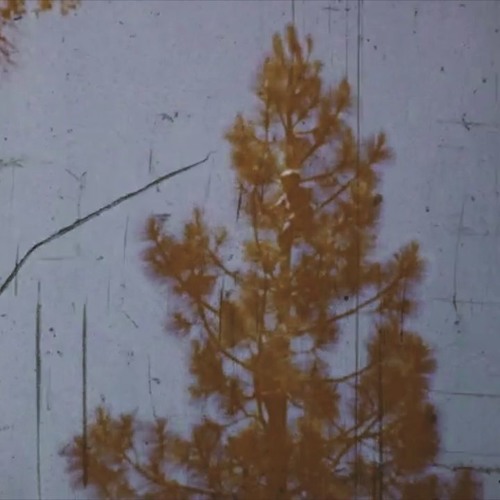 diffuse effort and a tree