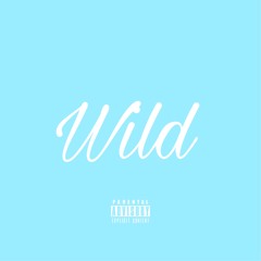 WILD (PROD. STEFFAN)
