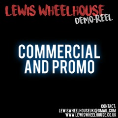 01. Commercial And Promo