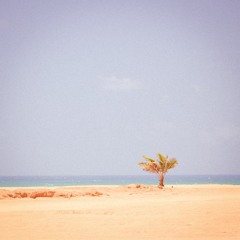 It´s a Very Hot Day