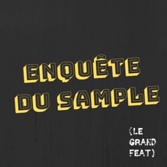 Enquête Du Sample #12 - MEDINE X LEROY HUTSON (Proof, 2004)