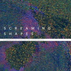 Screaming Shapes for amplified flute, bass clarinet, violin, cello, and electronics