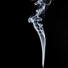 plume by Sam Krahn