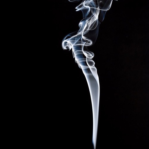 plume by Sam Krahn