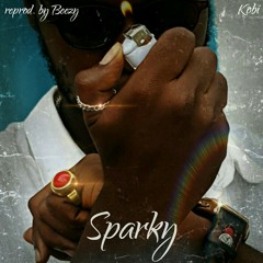 Sparky (cover) Prod by Beezy