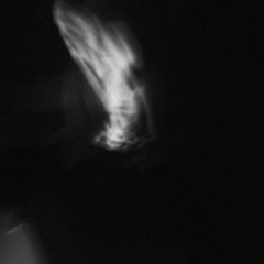 Tsunami - Tkivili (ONE)