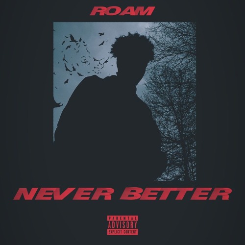 Stream Roam | Listen to Never Better playlist online for free on SoundCloud