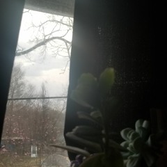 The Lone Penny I found in my pocket