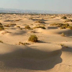 mostlyjustj - 17 Dune Panorama - OSC 21