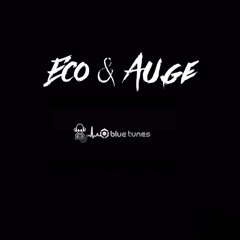Eco U. Auge (Bluetunes Rec.) - Support My Friends (dj Set )