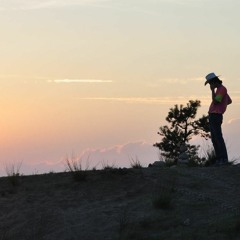 Dougie Poole's Special Delivery #7 w/ David Turner & Mutual Benefit