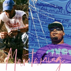 "Maintaining" - Puffy & Vario