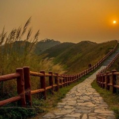 إلا البخاري في حديثك يا لكع - شعر: أنور العكشان - أداء: ظفر النتيفات