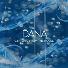 Dana's gin tonic from the house