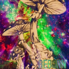 Reborn.m4a