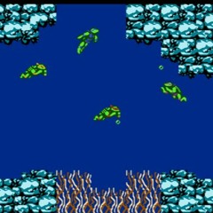 TMNT 1 NES Underwater (Defusing Bombs)