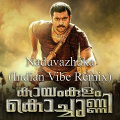 Kayamkulam Kochunni - Naduvazhuka(Indian Vibe Remix)