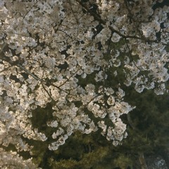 blessed。