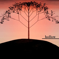 hollow