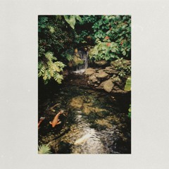 A Letter In Summer