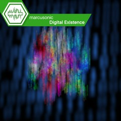 Digital Existence