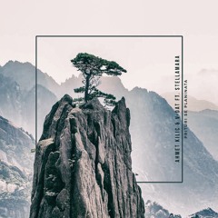 miscelllaneous