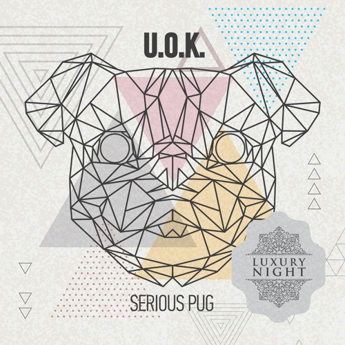 U.O.K. - Serious Pug (Original Mix)