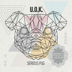 U.O.K. - Serious Pug