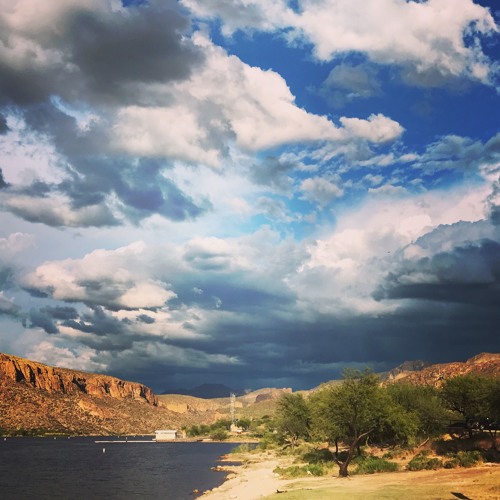 ComplexChutney - Salsa Mix