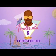 THIAGUINHO _ TARDEZINHA AS MELHORES _ ( DJ JUNINHO MAX ) ( download )