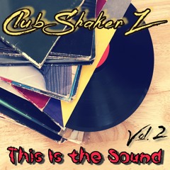 Christian Craken - Instinct Shake (Club ShakerZ & Virag Cover Version 2)