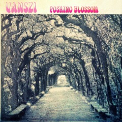 Yoshino Blossom