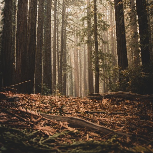 K'vsh - chu [Redwoods] I. Nvn-nvst-'a~ [The Earth]