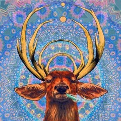 Moose In The Desert Or Camel In The Woods (by AzAz - TakaTunes Records)