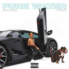 Mustard, Migos - Pure Water  (Reggaeton Version)