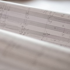 Mõttelõng / Skein of Thought (2018)