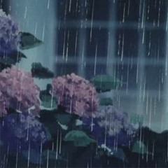 I like to look out the window during the rain