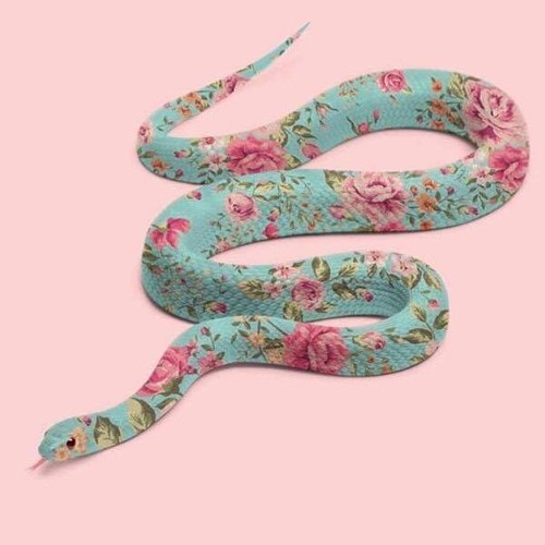 SHE IS SUMMER - 「CALL ME IN YOUR SUMMER」(tera's sucks edit)