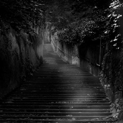 Walk